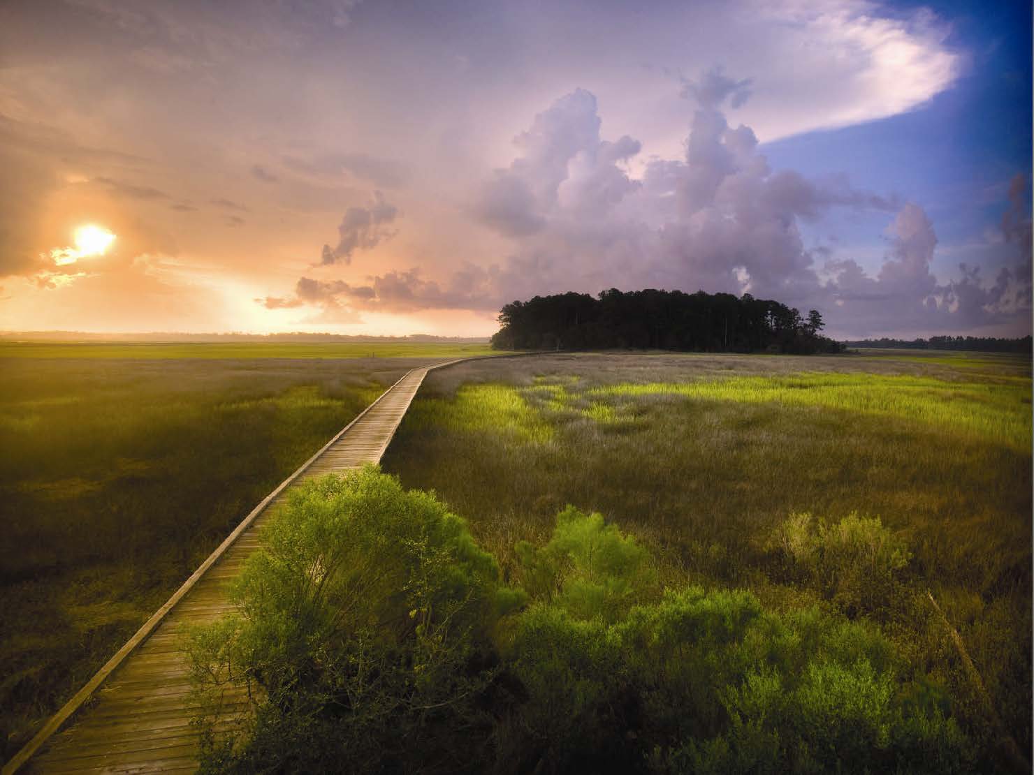 Hampton Island Preserve - 1300 Retreat Road, Riceboro, GA 31323